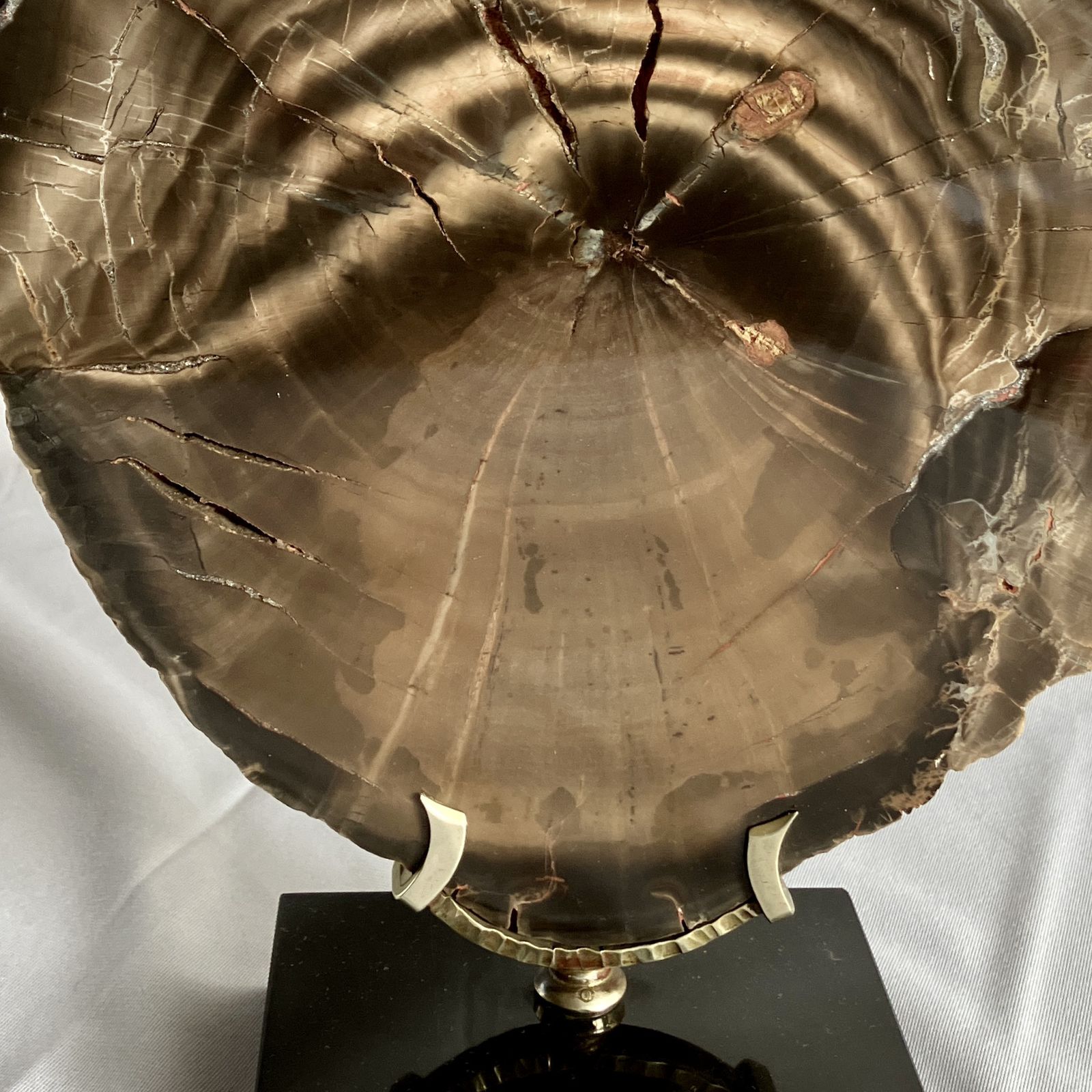 A Large Fossilised Or Petrified Wood Specimen, Polished And Mounted On A Bespoke Stand, Circa 120 To 240 Million Years Old photo 420.0