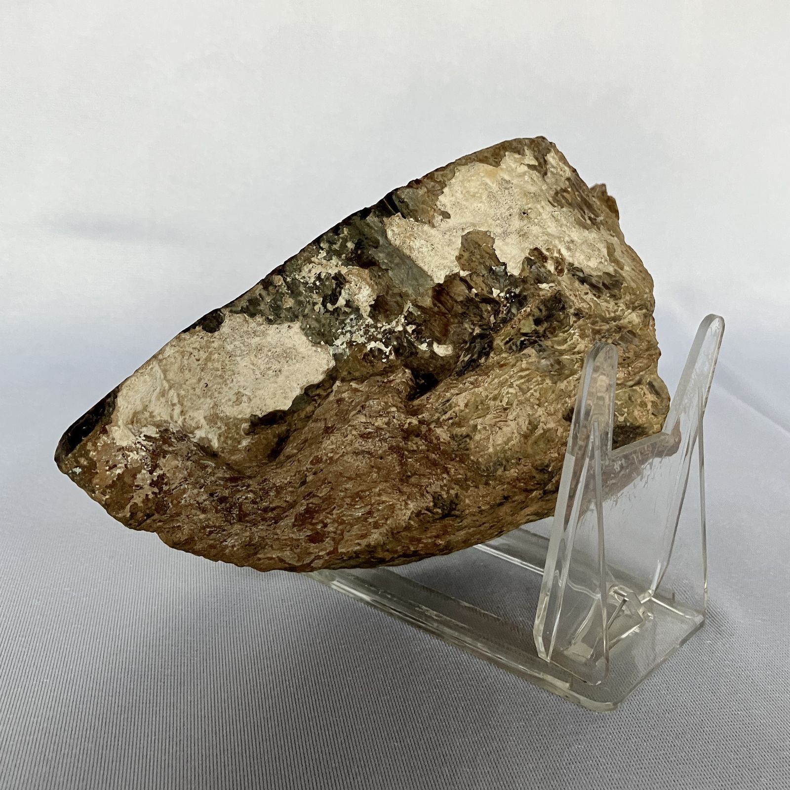 A Small Fossilised Or Petrified Wood Specimen, Polished And Mounted On A Perspex Stand, Circa 120 To 240 Million Years Old photo for sale