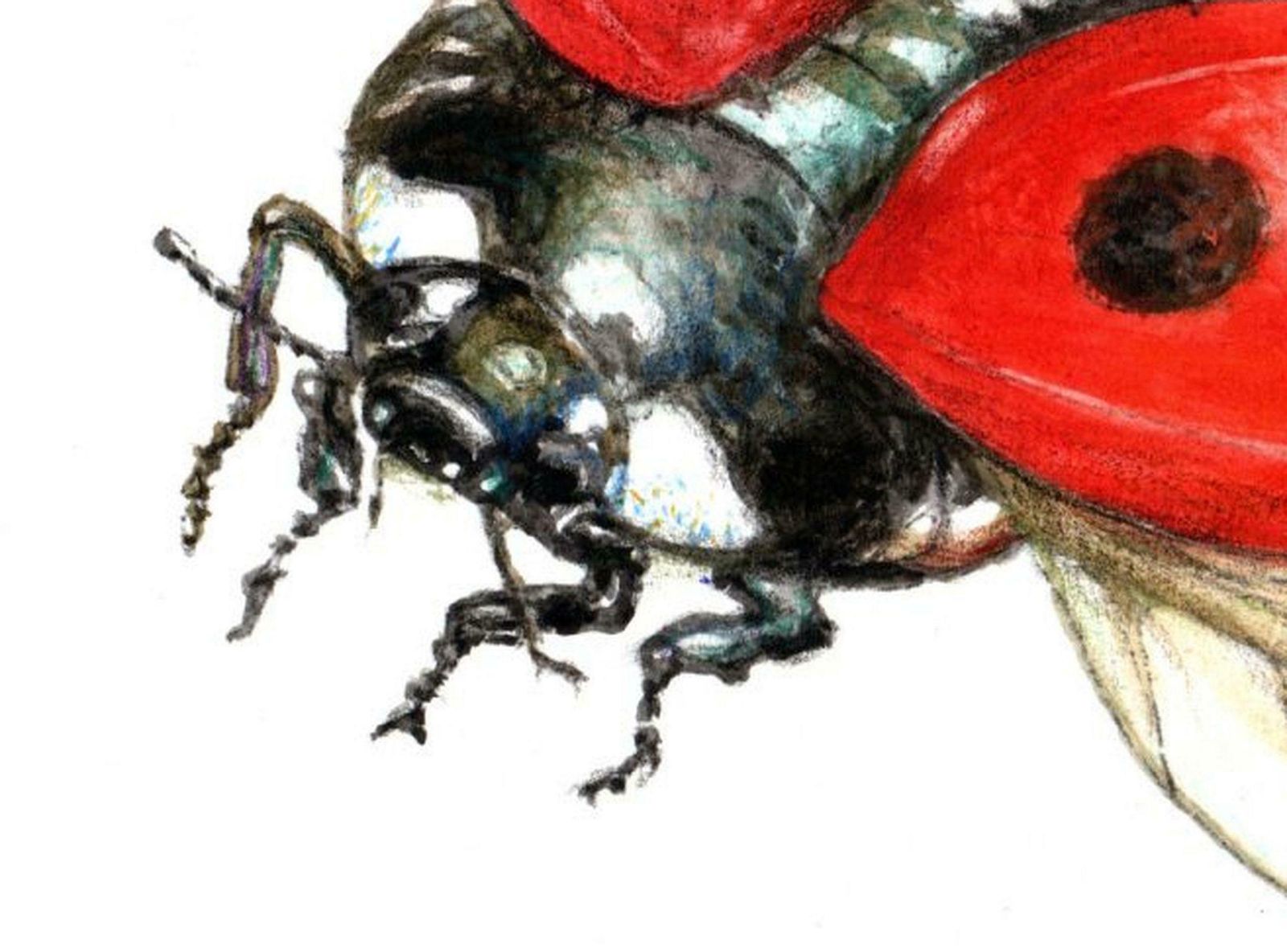 Juris Utans Flying Ladybug. Paper, Mixed Media, 21x30 Cm 2020 photo furniture
