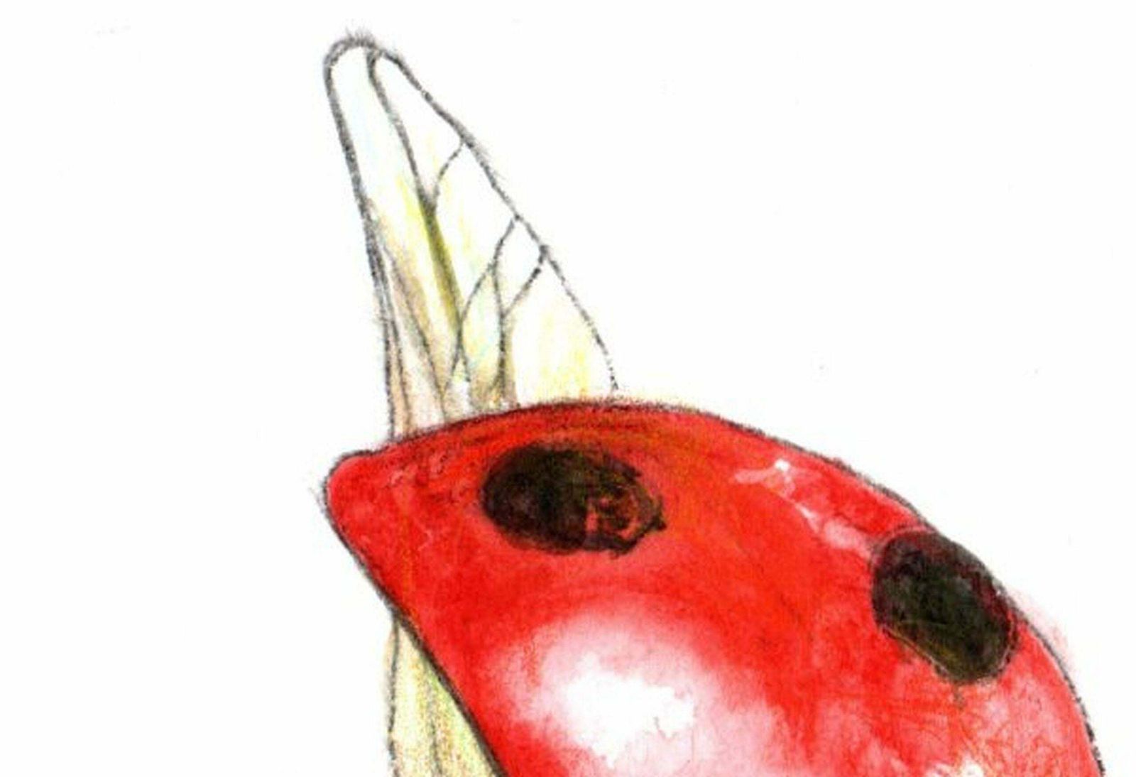 Juris Utans Flying Ladybug. Paper, Mixed Media, 21x30 Cm 2020 photo for sale