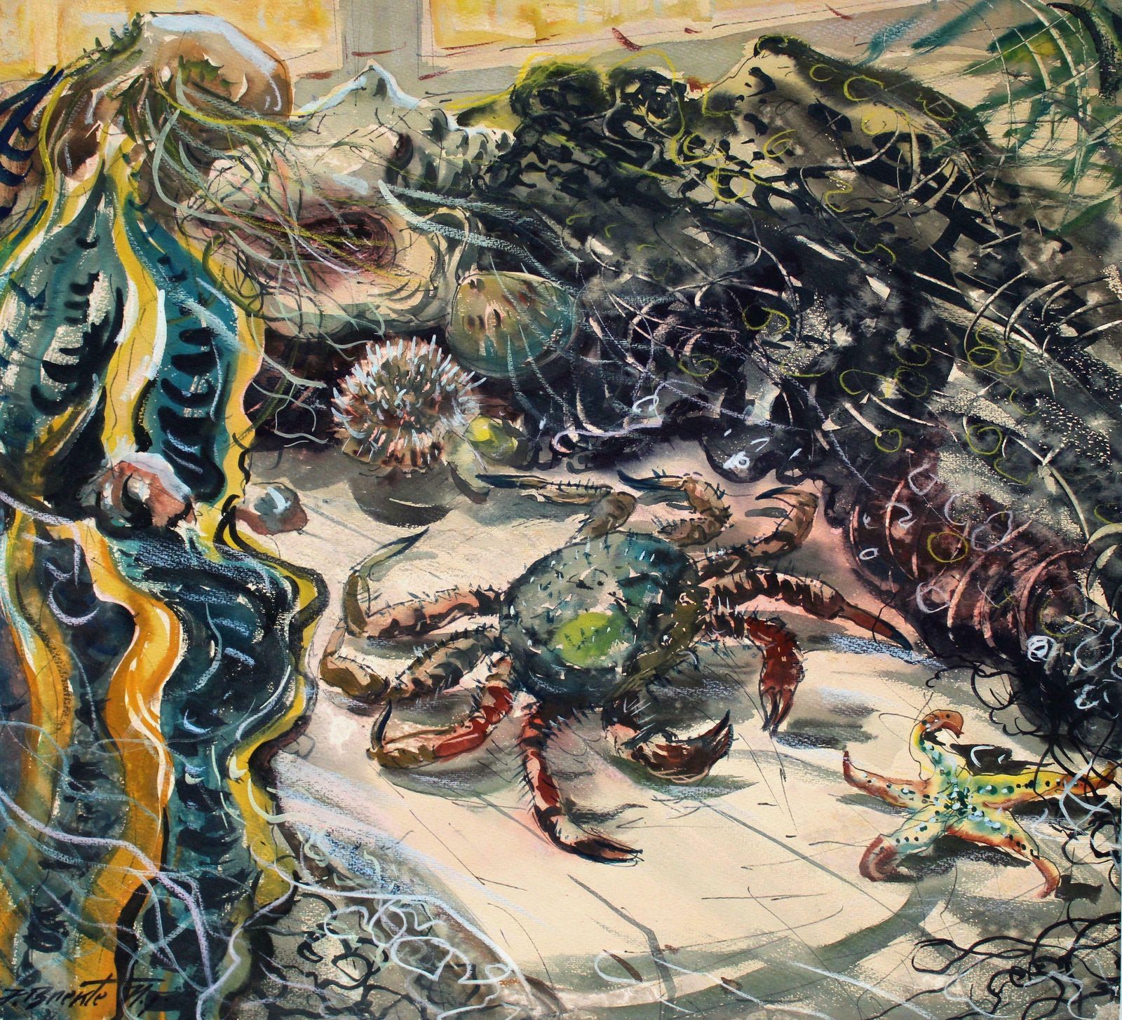 Janis Brekte Crab. 1971, Watercolor On Paper, 63 X 69, 3 Cm 1971