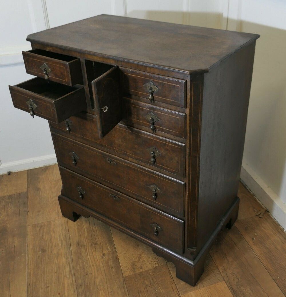 A Fine Bur Walnut And Oak Chest Of Drawers photo vinterior