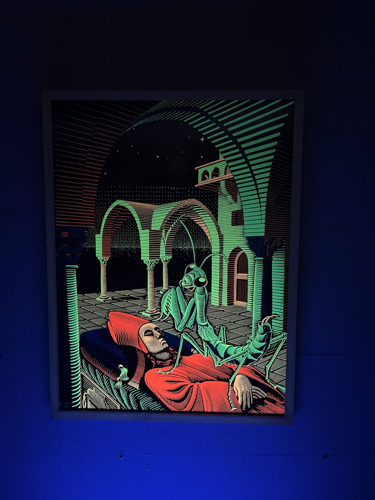 photo vintage M.C. Escher Black Light Poster ''Dream'' Ca. Jaren 1960