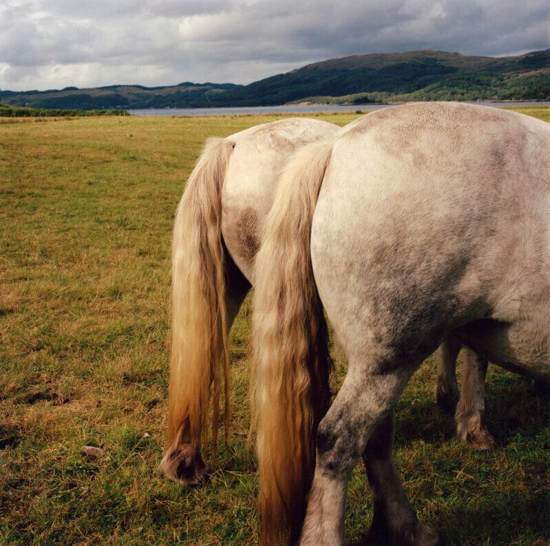 Classic Size, Ponies Backside, Strontian, Scotland, 2022