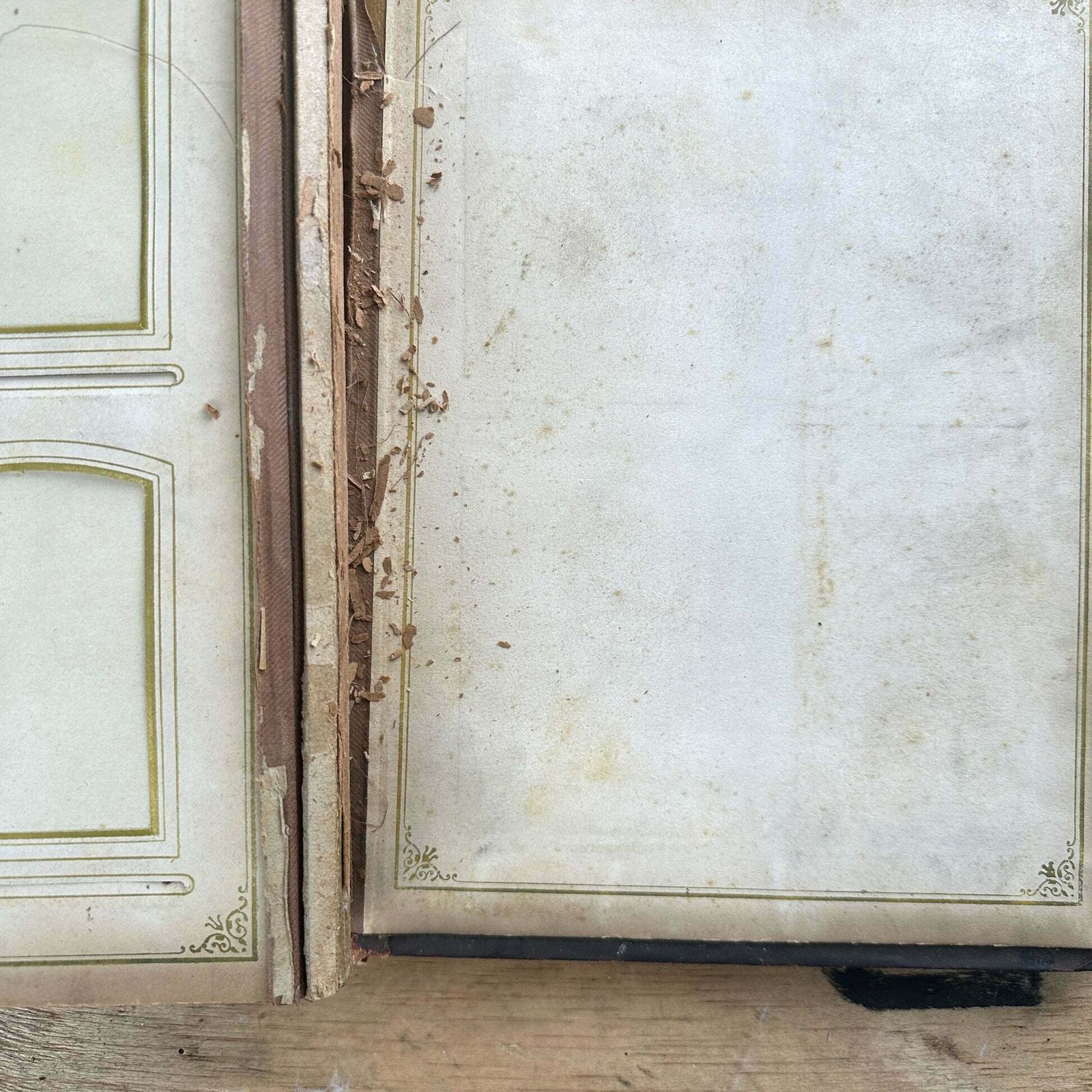 photo for sale Victorian Era Family Photo Album