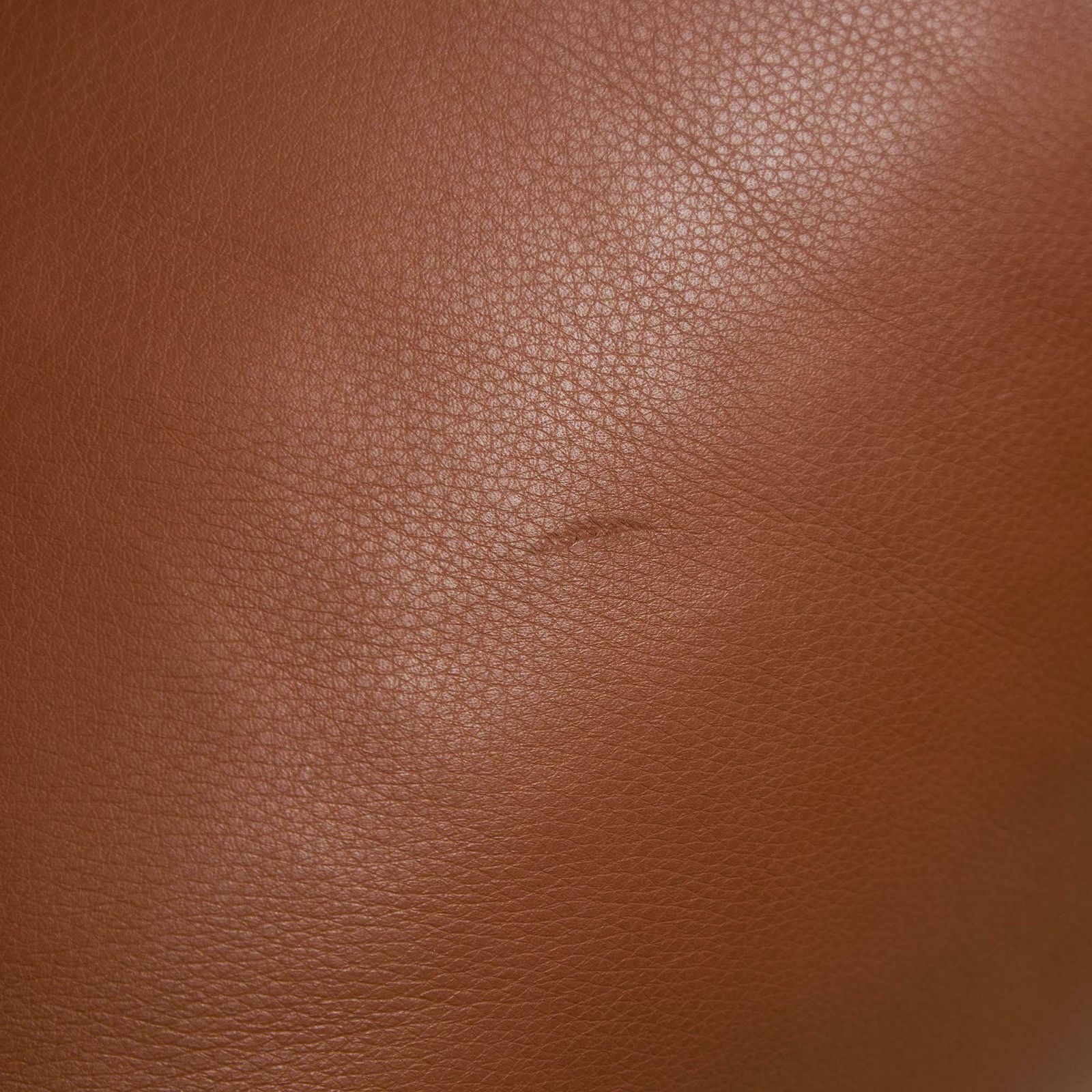 photo for sale Le Bambole Lounge Chair B&B Italia