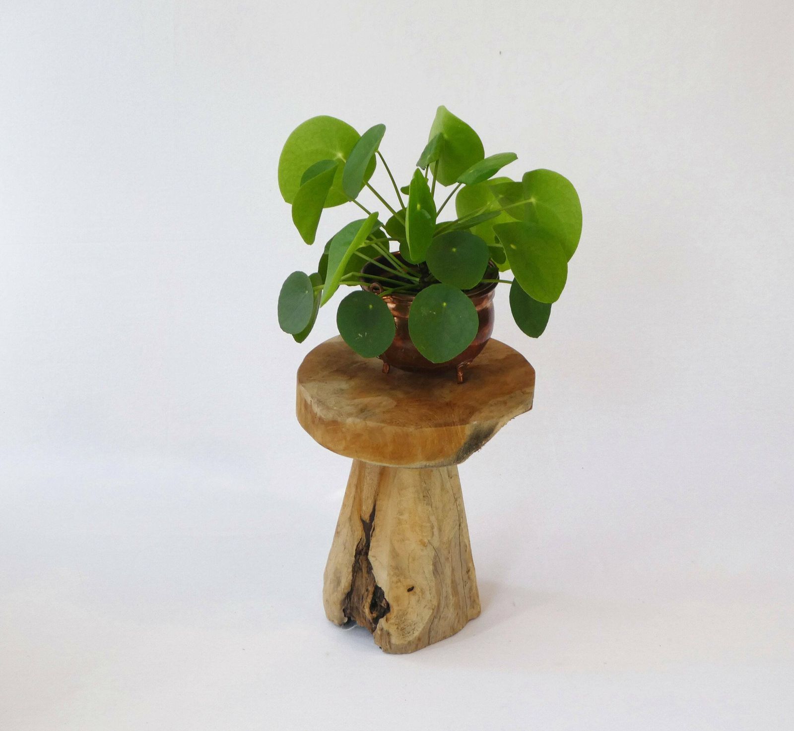 Vintage Rustic Trunk French Stool, Primitive Heavy Natural Wooden Plant Stand, Small Furniture Milking Stool photo furniture