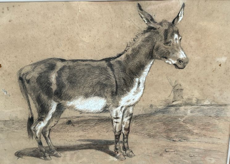 A Lovely Pencil And Chalk Drawing Of A Donkey photo furniture
