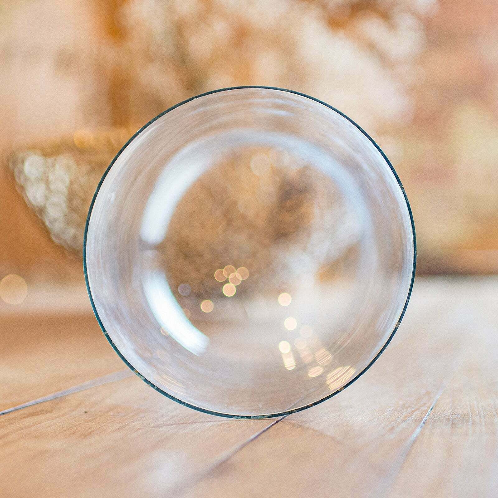 Antique Collector's Dome, English, Glass, Taxidermy, Botany, Showcase, Edwardian photo buy