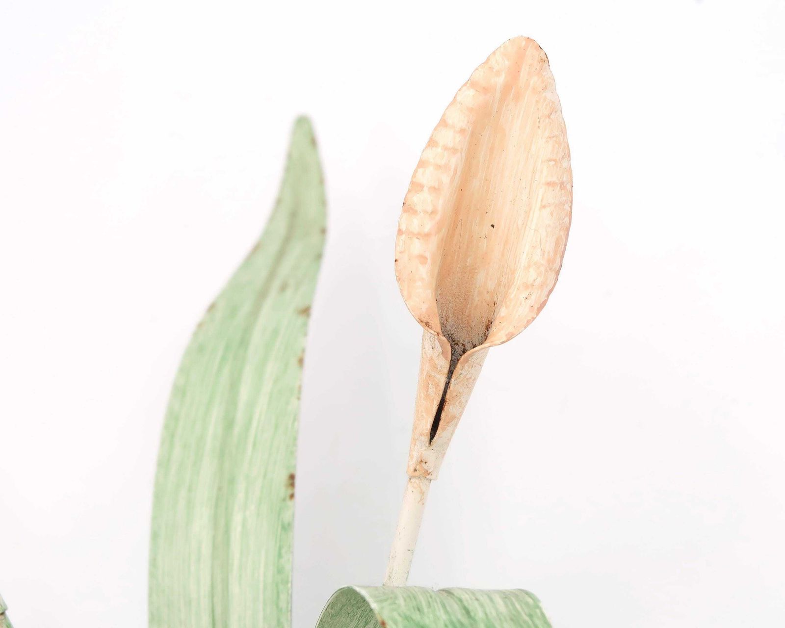 Wall Sconce Lighting : Pale Pink Arum Flowers With Green Leaves, 1980s / Boho Chic, Leaf, Floral photo Lighting