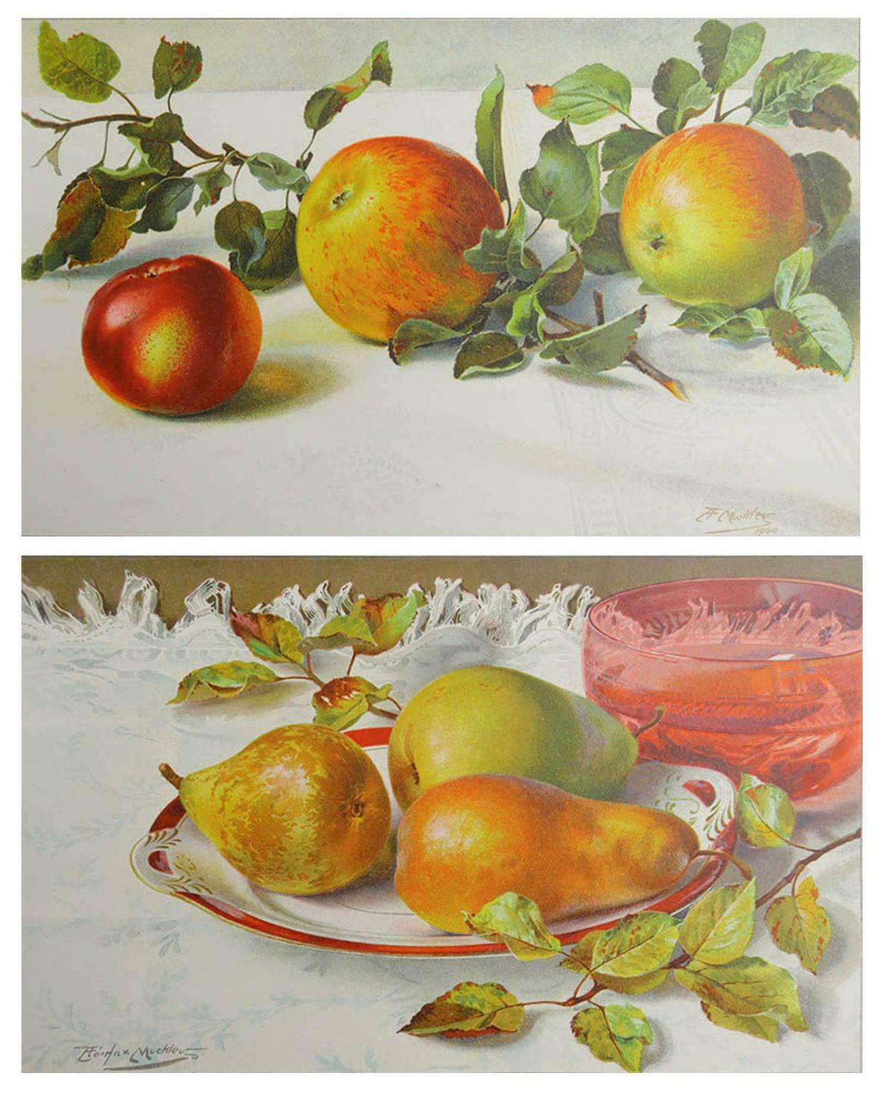 Pair Of Original Antique Fruit Prints   Apples And Pears, C. 1900 photo furniture