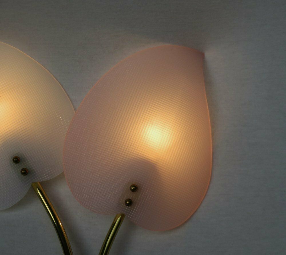 Lighting Floral Wall Lights In Acrylic Glass & Brass From Geru Lights, 1950s, Set Of 2 photo
