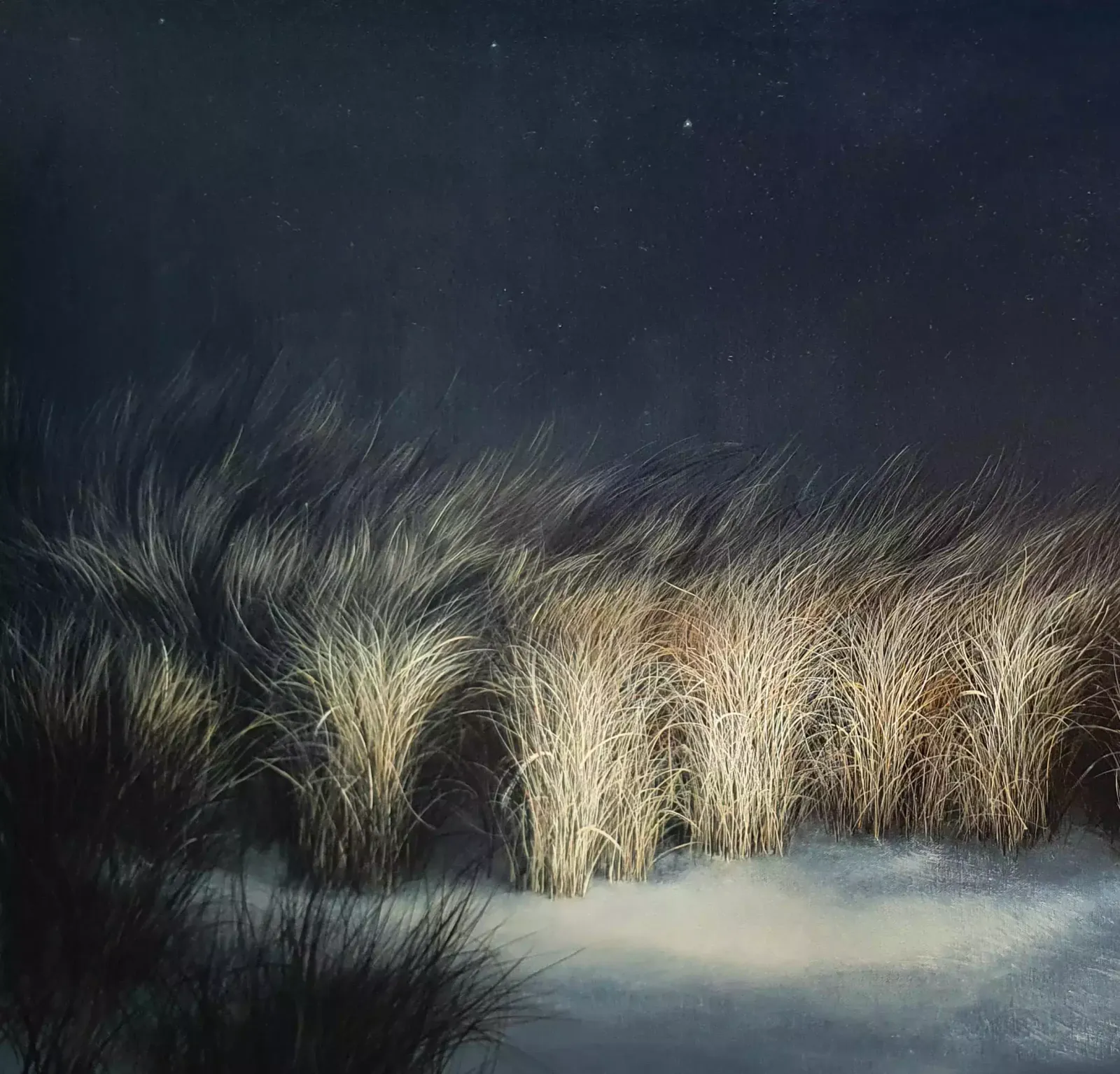 Maija Muizniece   Velvet Coastal Darkness photo furniture