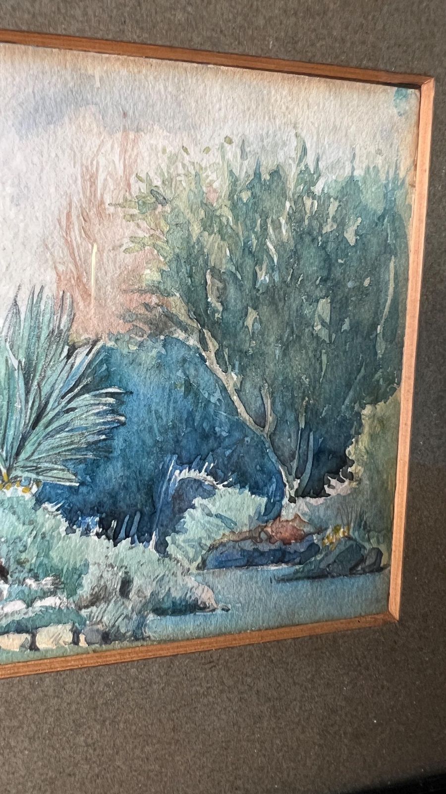 1917 Antique Original Watercolour Painting Depicting Alpine Rock Garden In Anna Valley, Andover photo vinterior