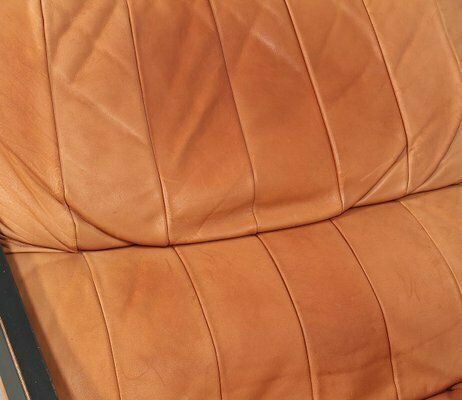 photo for sale Ds 80 Lounge Chair By Ueli Berger For De Sede, 1970s