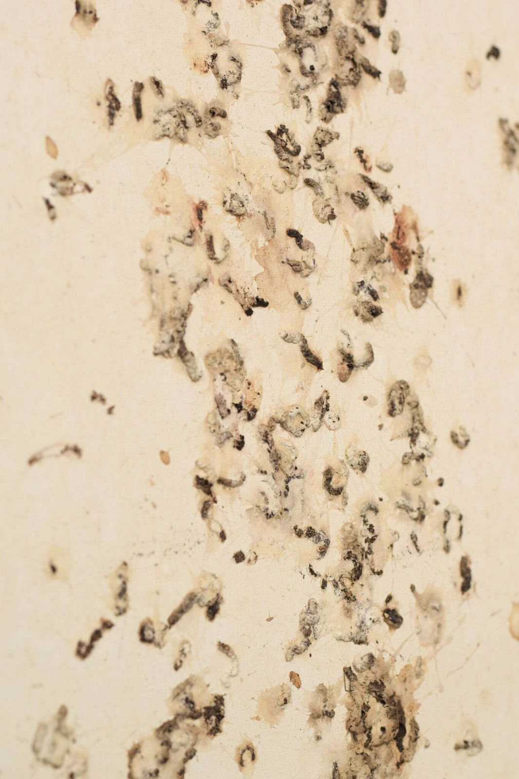 195200.0 Volgeling Van Dan Colen – 'Untitled (Bird Shit)' photo