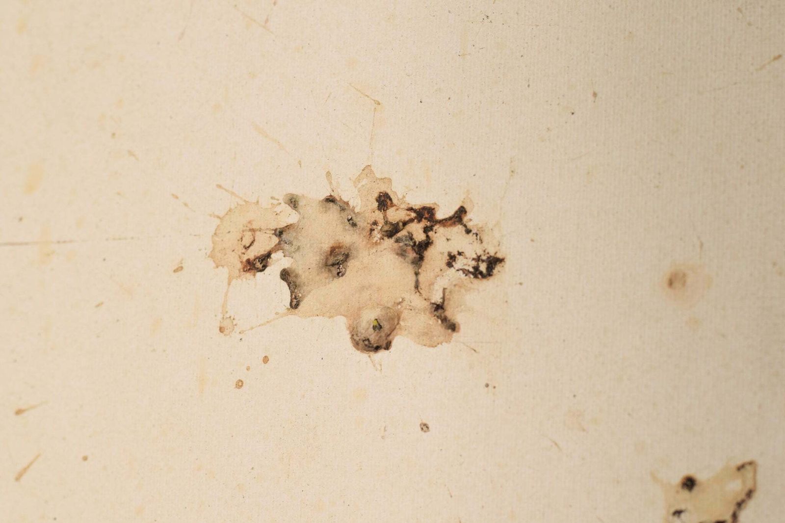 photo vinterior Volgeling Van Dan Colen – 'Untitled (Bird Shit)'