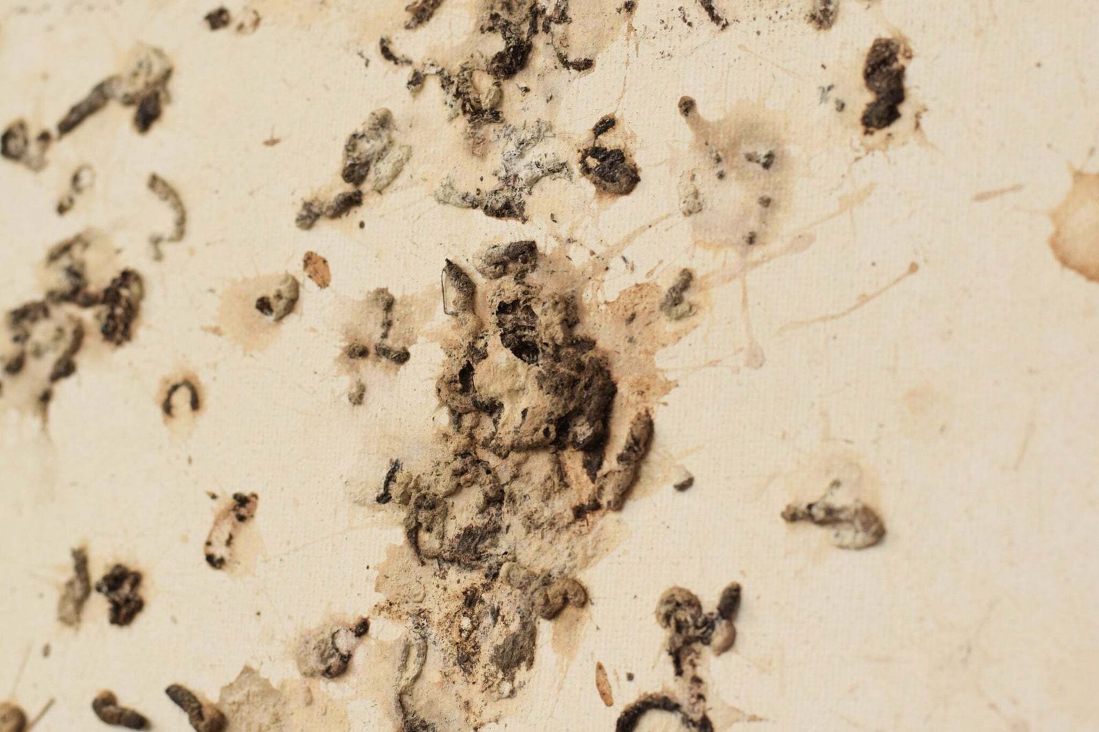 photo vintage Volgeling Van Dan Colen – 'Untitled (Bird Shit)'