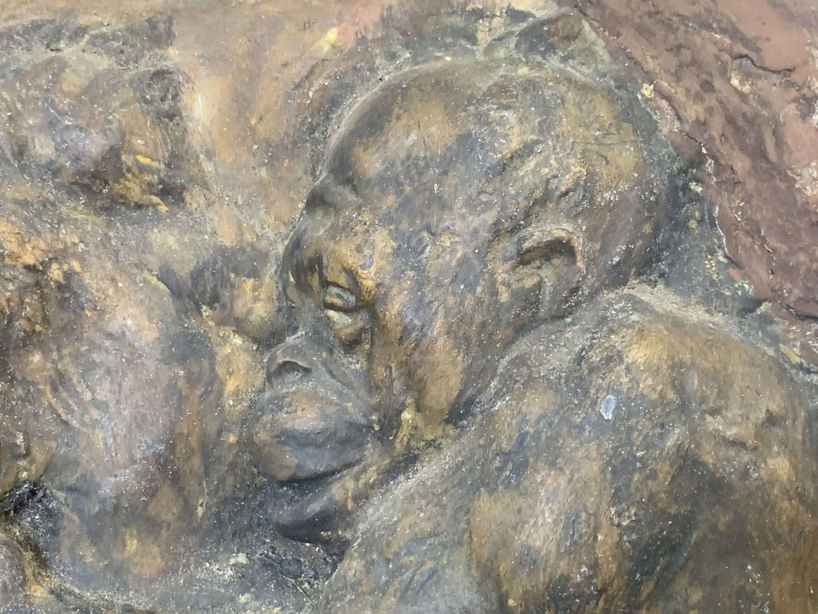 Antique Signed Plaster Plaque Depicting Orangutans photo 595.0