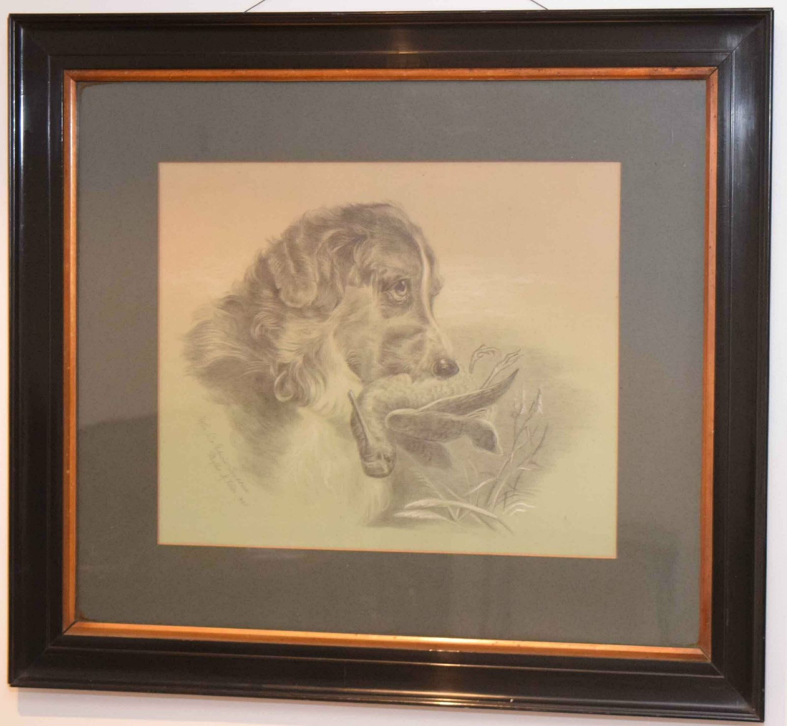 Pencil Study By Phyllis M. Wise   Dog With Snipe