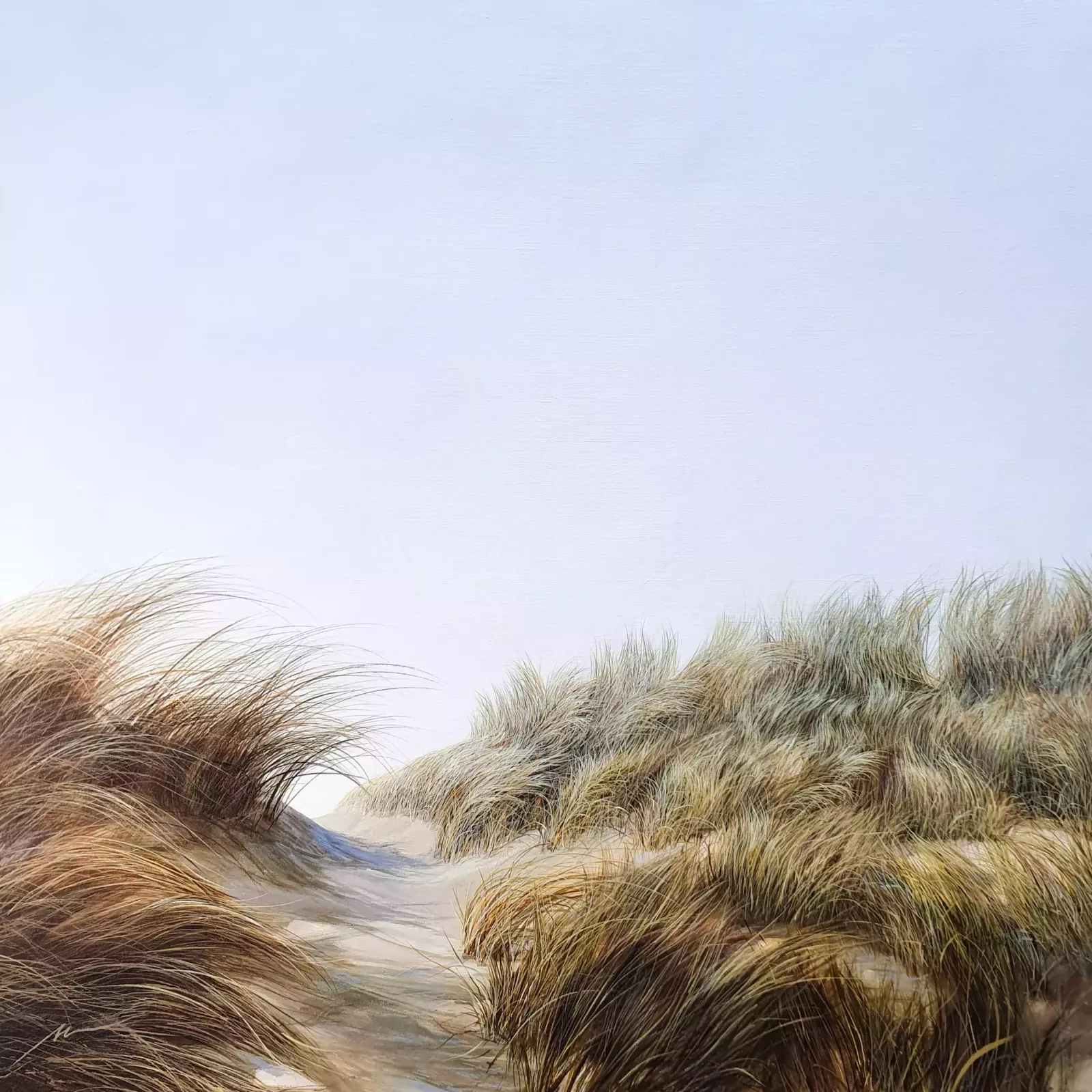 The Laughter Of The Wind Dances On The Tips Of The Sedges photo for sale