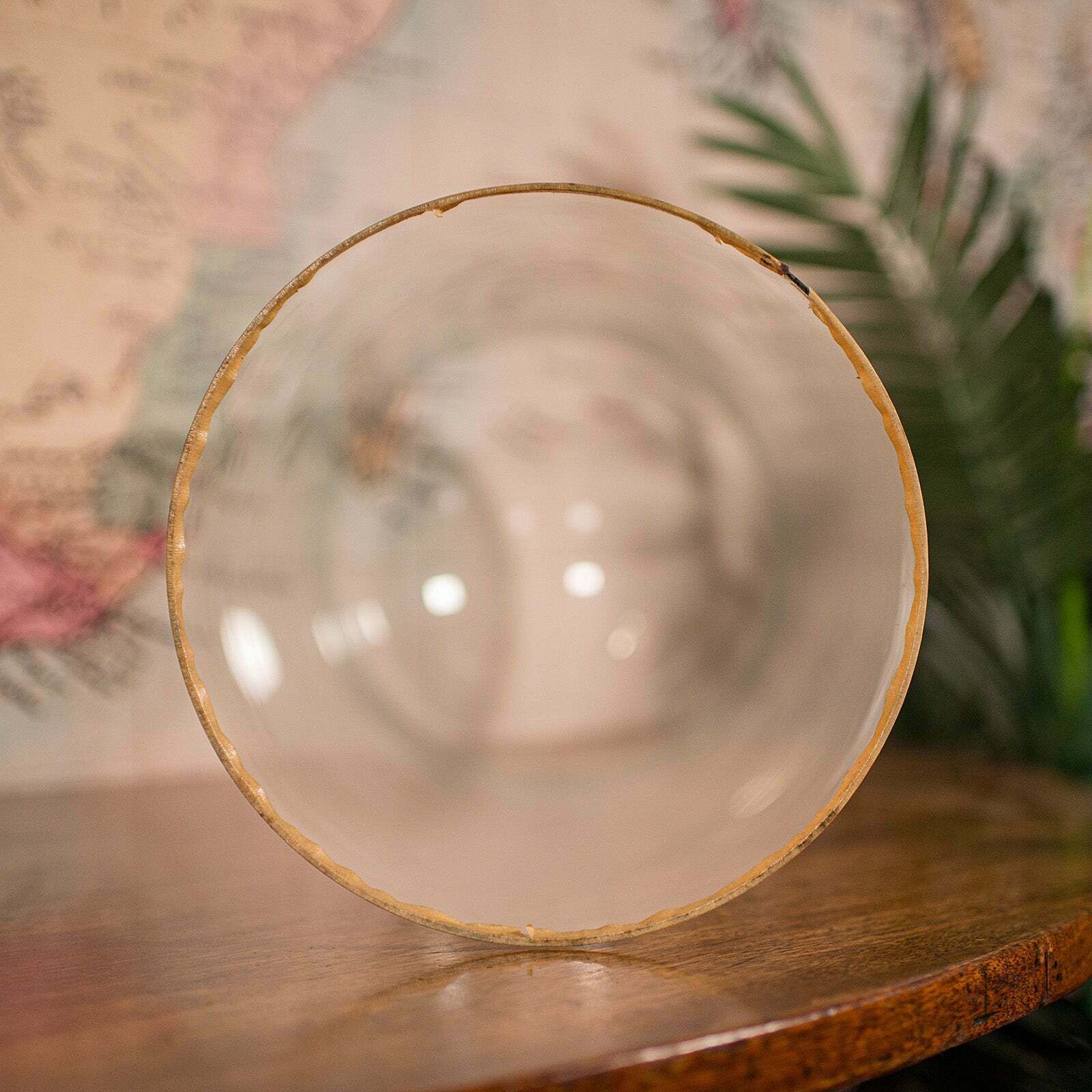 Large Antique Collector's Dome, English, Glass, Taxidermy, Specimen, Victorian photo vintage