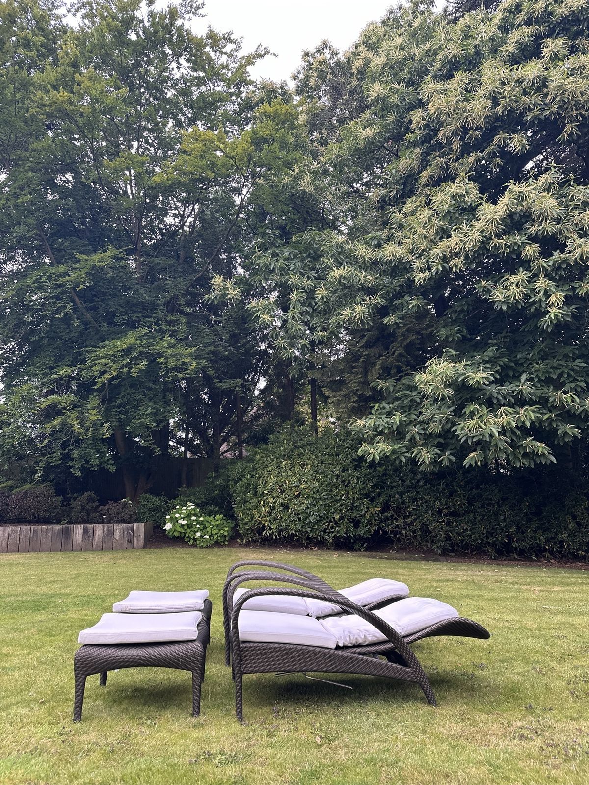 Dedon Sun Lounges Pair photo furniture