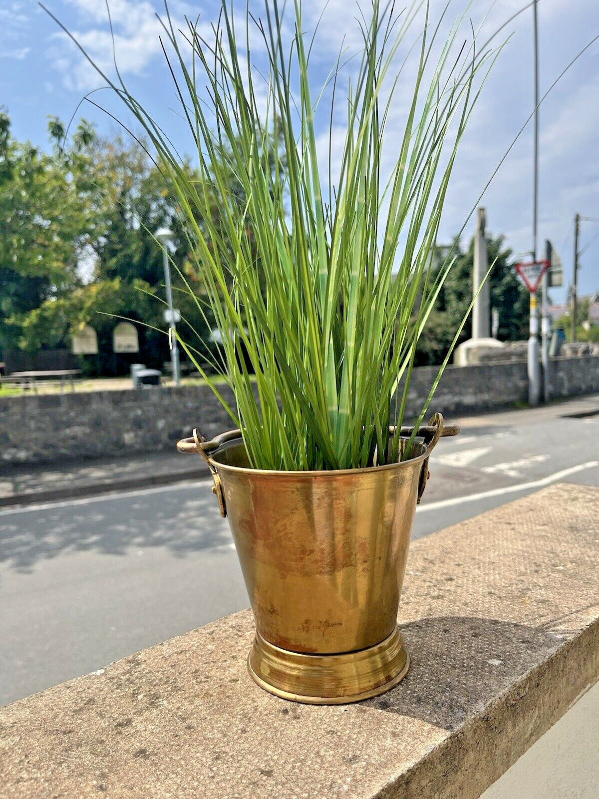 85.0 C1910 Antique Art Nouveau Brass Hanging Pail Water Grain Bucket Flower Plant Pot photo