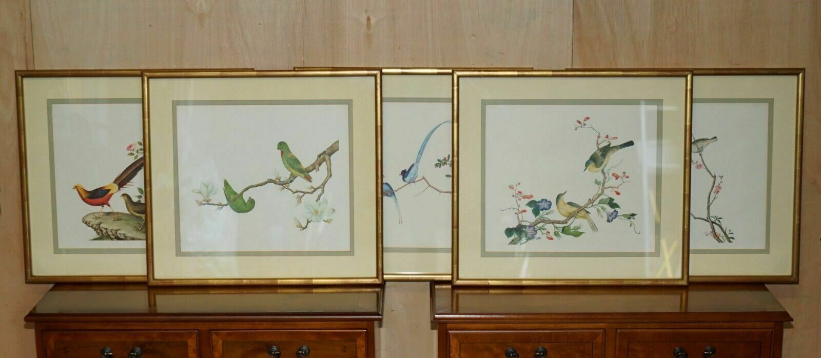 Five Chinese Ch'ien Lung Period 1736 1796 Watercolour Bird Piantings Framed