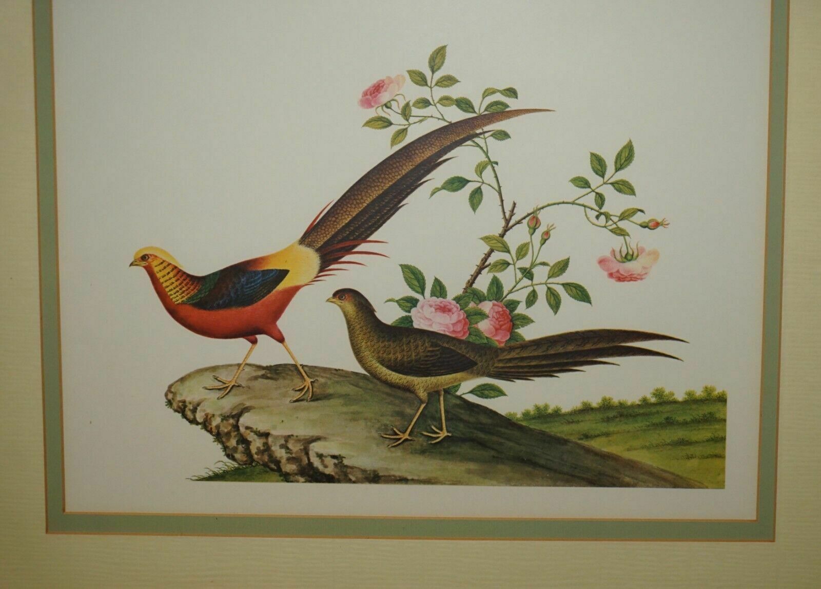 Five Chinese Ch'ien Lung Period 1736 1796 Watercolour Bird Piantings Framed photo for sale