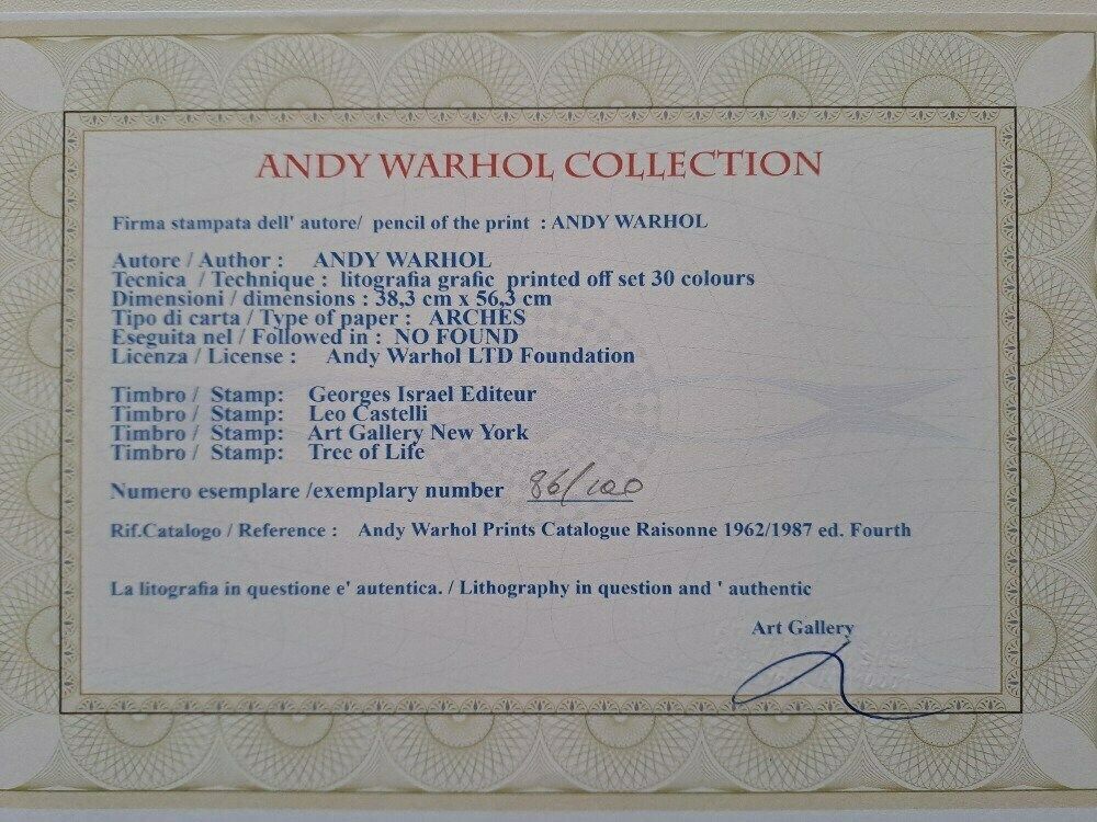 Andy Warhol “Queen Ntombi Twala Of Swaziland” — Fine Pop Art Plate Signed Edition With Castelli Documentation photo for sale