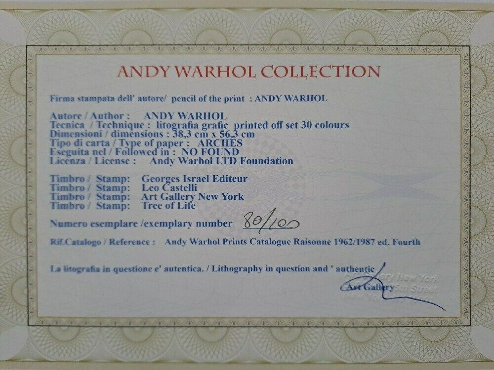 Andy Warhol “Mickey Mouse” — Premium Plate Signed Pop Art Edition With Castelli Documentation photo for sale