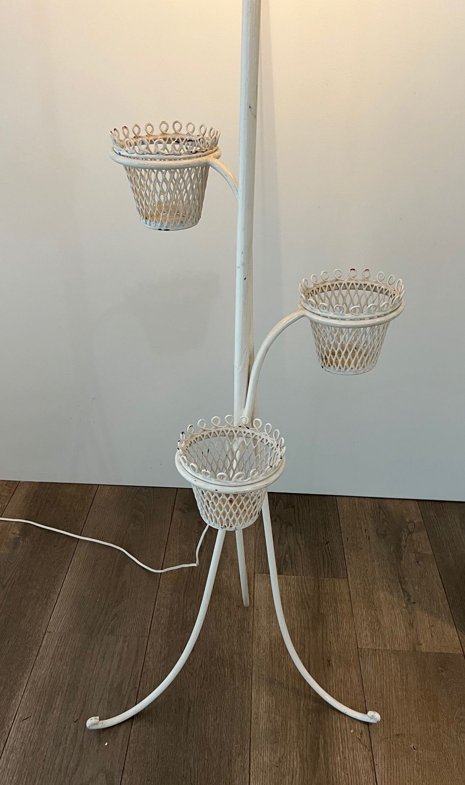 Floor Lamp Plant Holder Cap D'ail Collection By Mathieu Matégot photo 2850.0
