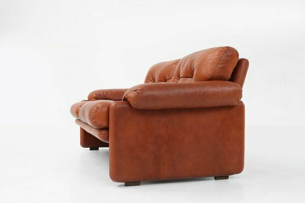 photo furniture Brown Leather 2 Seater Sofa Coronado By Tobia Scarpa For B&B Italia, Italy, 1960s
