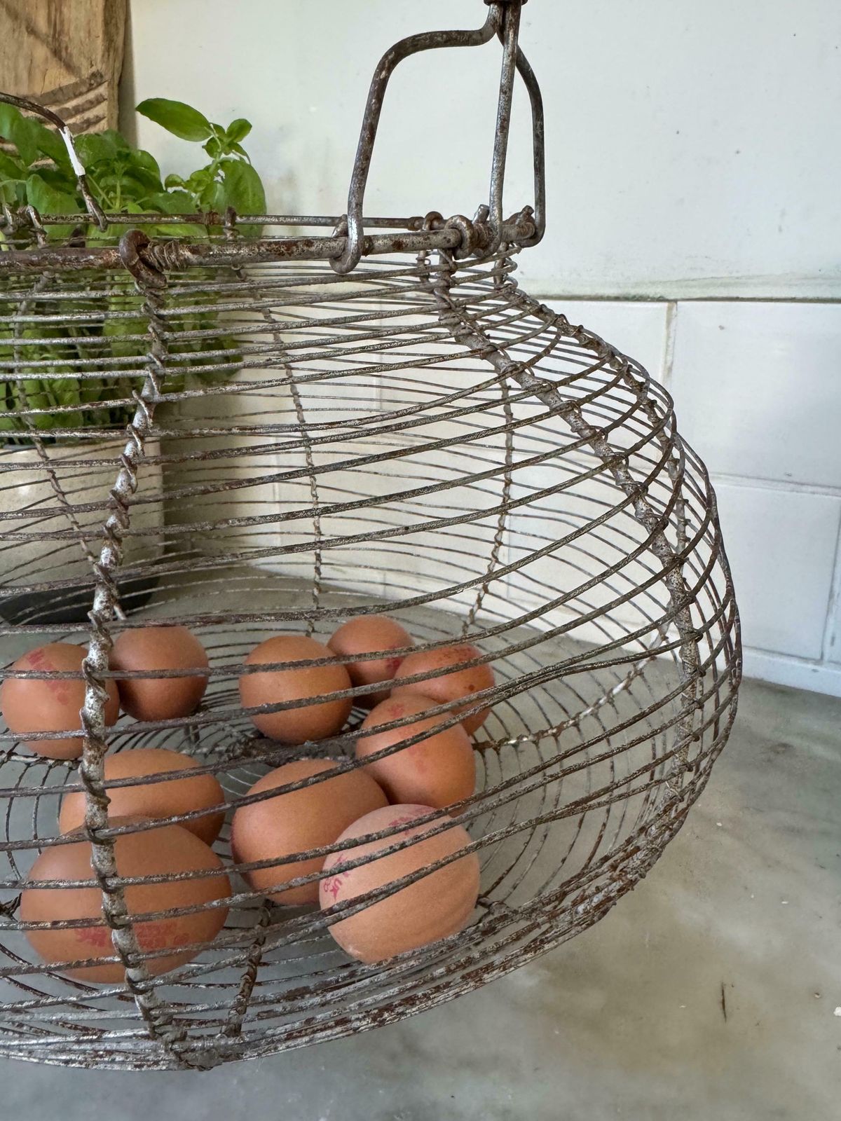 Rare Xxl Vintage French Egg Basket photo vinterior