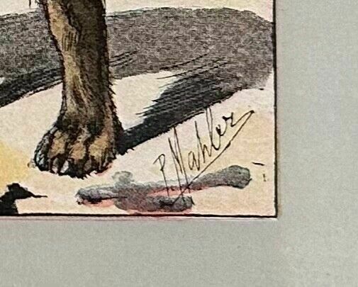 Antique 1907 Colour Lithograph Print Dog Picture Paul Mahler Otterhound photo for sale