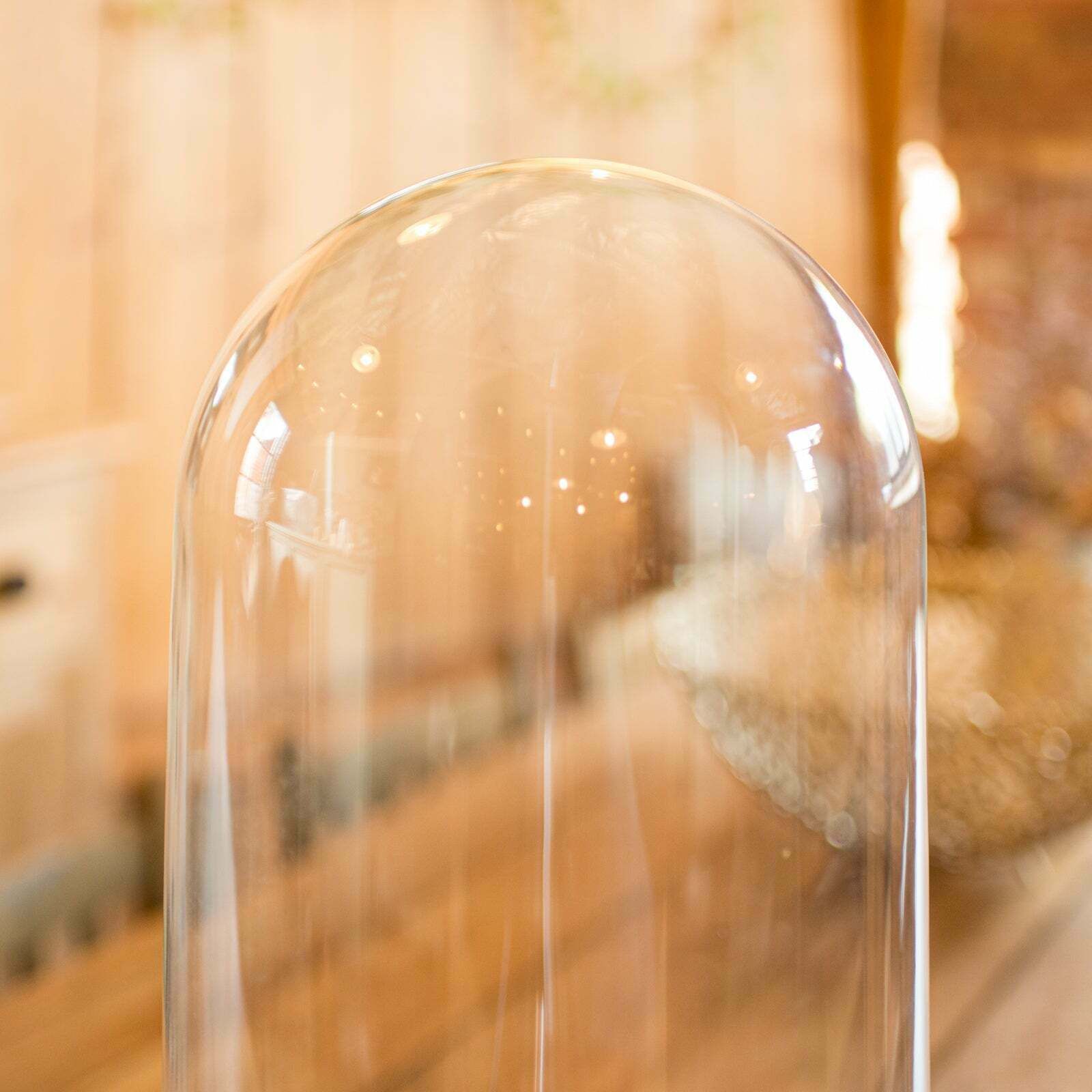 Tall Victorian Antique Taxidermy Specimen Dome, English Glass Display Case, 1870 photo Home Decor