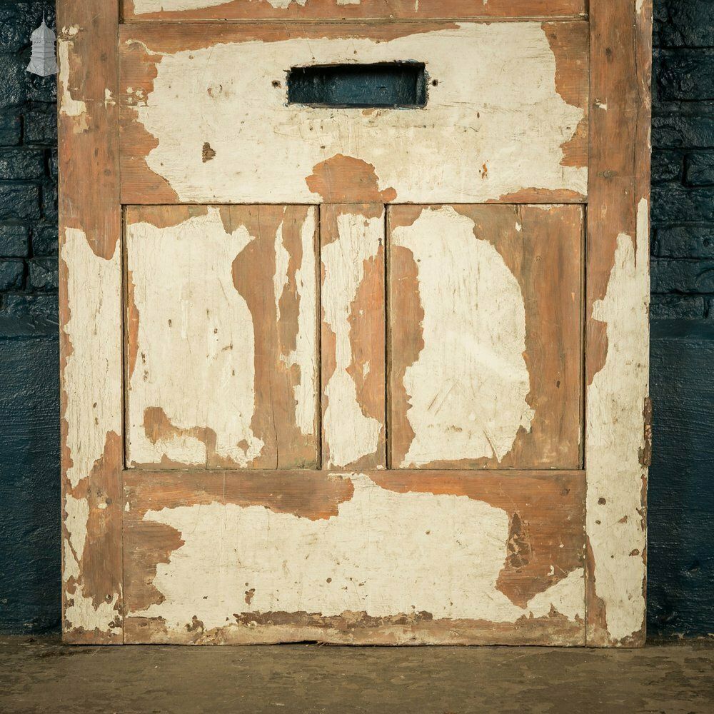 photo vinterior Oak Paneled Door, 5 Moulded Panel