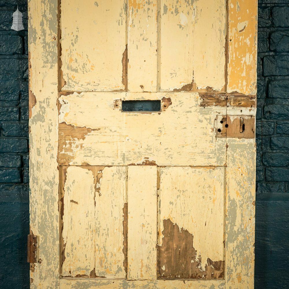 photo for sale Pine Paneled Door, 5 Moulded Panel