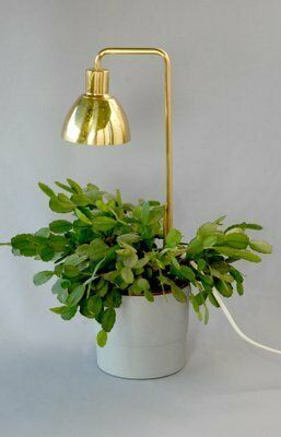 Model G98 Flower Lamp By Hans Agne Jakobsson For Haj Markaryd, 1960s