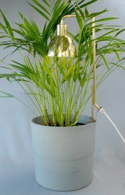 Model G98 Flower Lamp By Hans Agne Jakobsson For Haj Markaryd, 1960s photo Lighting