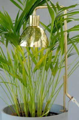 Model G98 Flower Lamp By Hans Agne Jakobsson For Haj Markaryd, 1960s photo 495.0