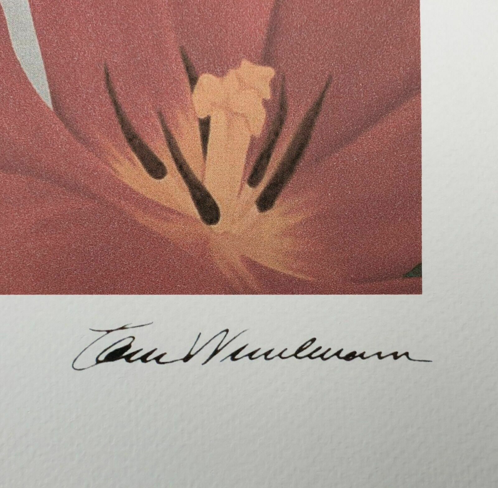 Tom Wesselmann, Bedroom Painting #40, Plate Signed Lithograph photo for sale
