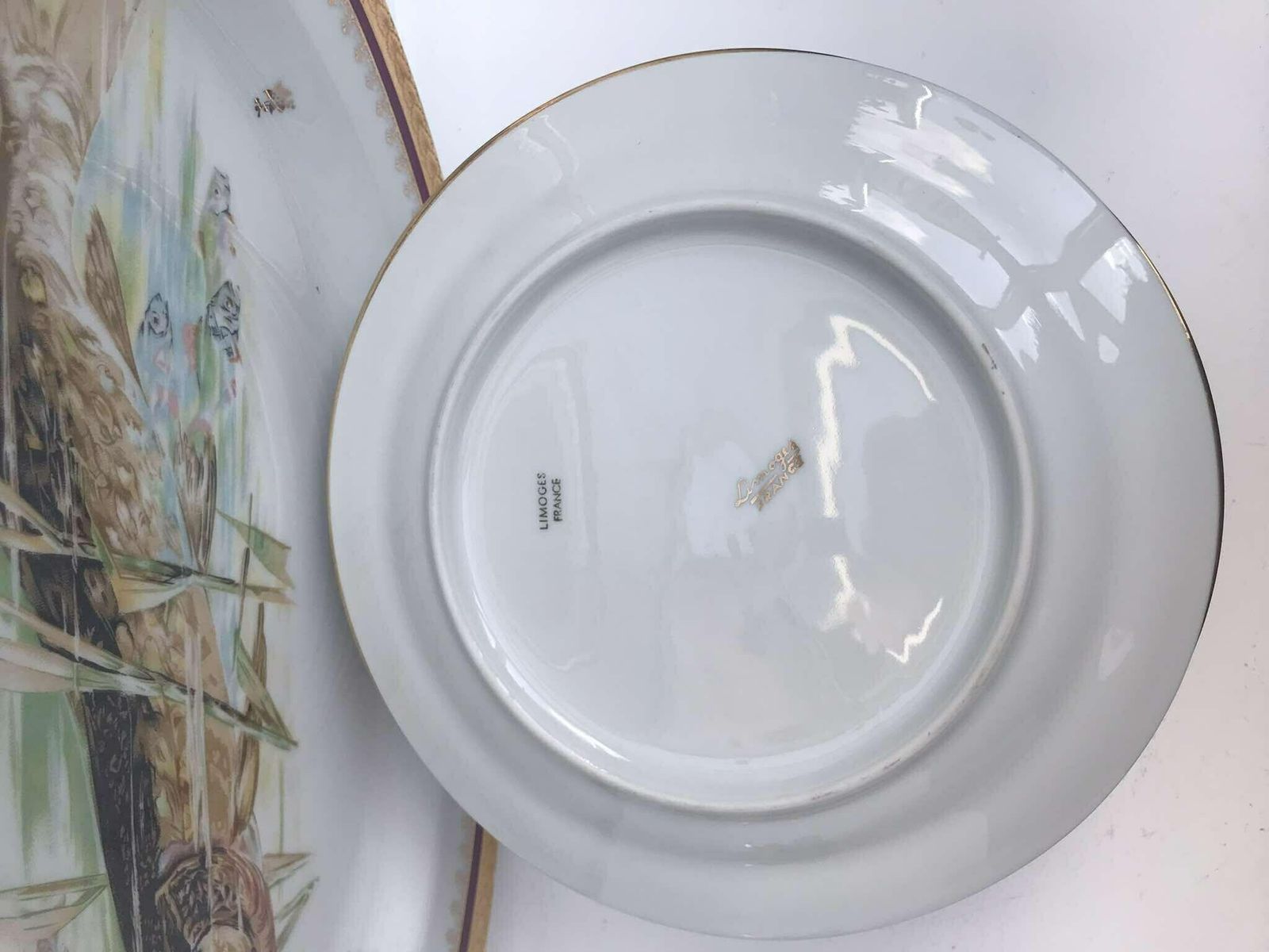 Dinnerware Porcelaine Limoges Set Fish Entrée Service Set 10 Plates And 1 Oval Serving Plate Made Of Limoges Porcelain Seafood Dinner Plates photo vintage