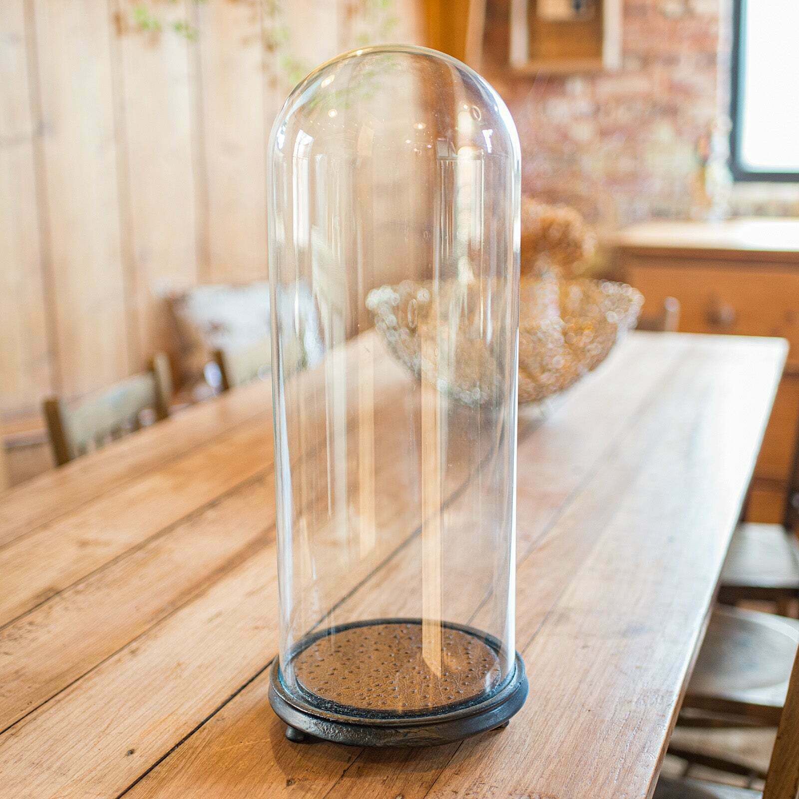 Antique Taxidermy Specimen Dome, English, Glass, Tall Showcase, Victorian, 1900 photo for sale