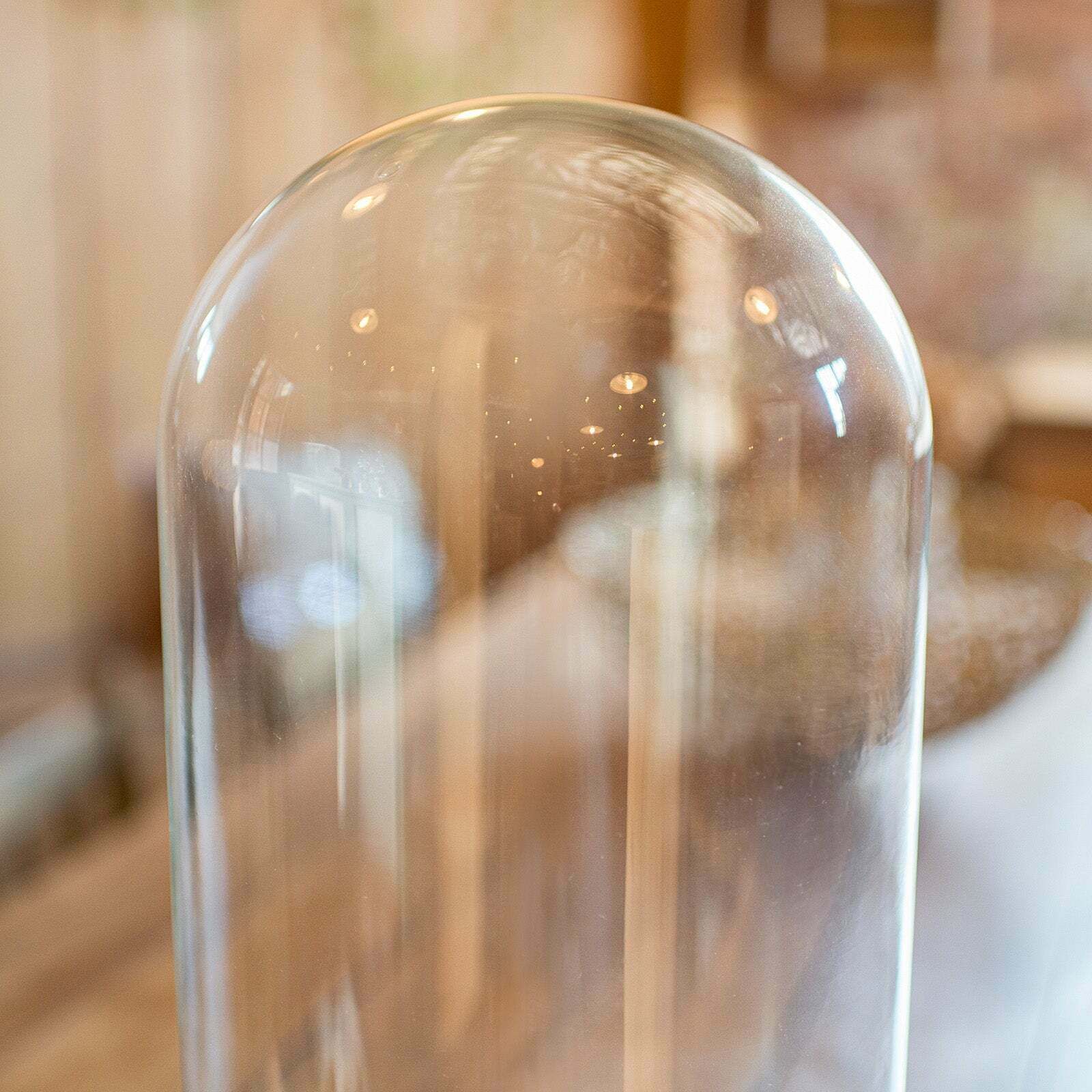 Tall Victorian Antique Specimen Showcase, English Glass, Taxidermy, Display Dome photo Home Decor