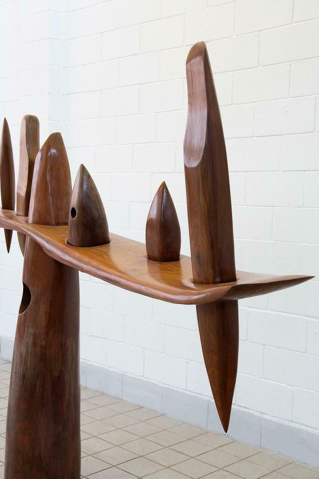 photo for sale The Tree Of Seven Possibilities From Elvio Becheroni's Amazonia Series