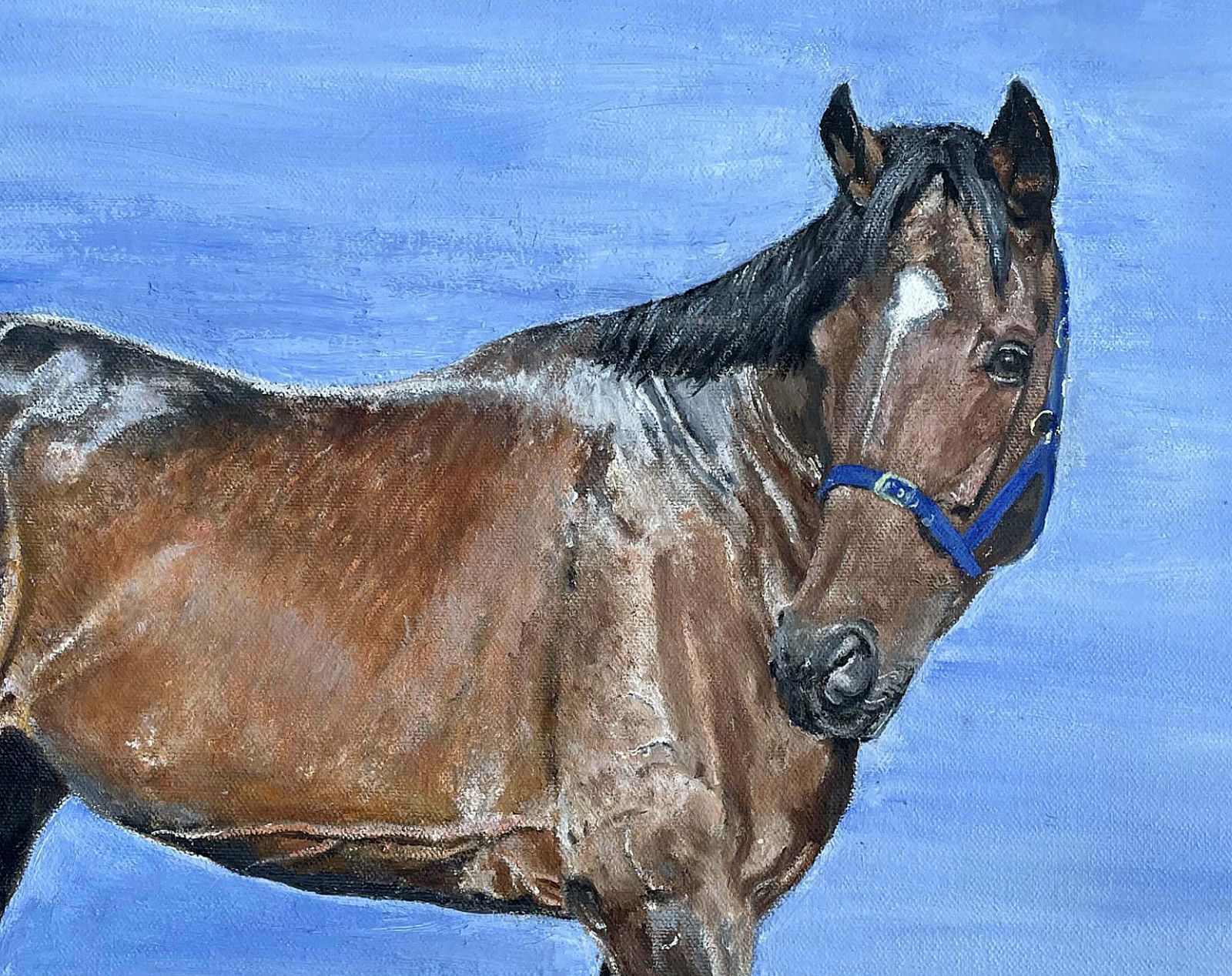 Fine Vintage English School Oil On Canvas Board Portrait Of A Bay Horse photo for sale