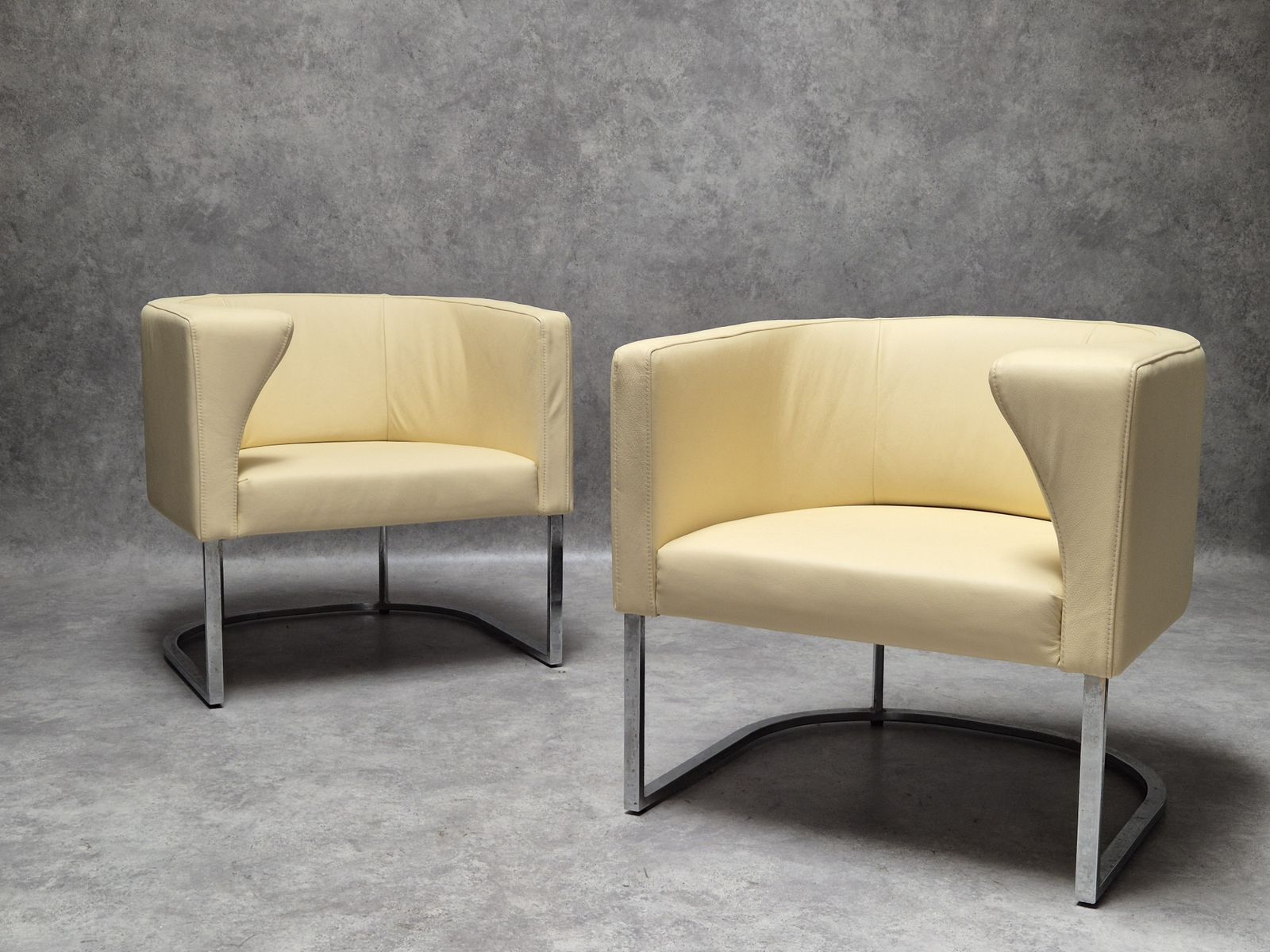 Compact Stylish  Armchair Ds 207