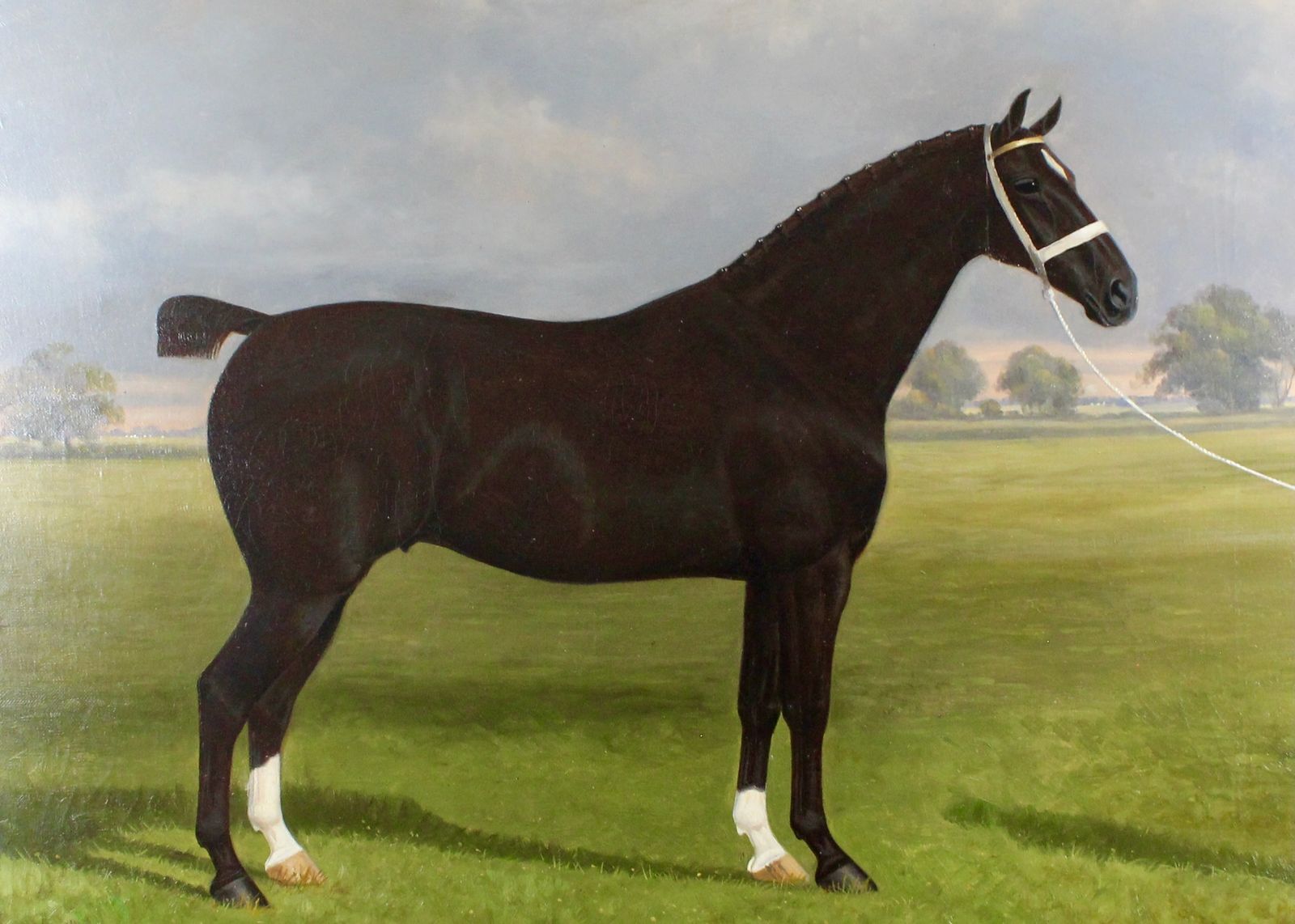Pair Of Stallion & Mare Hackney Champion Oil Paintings By W.A. Clark photo for sale